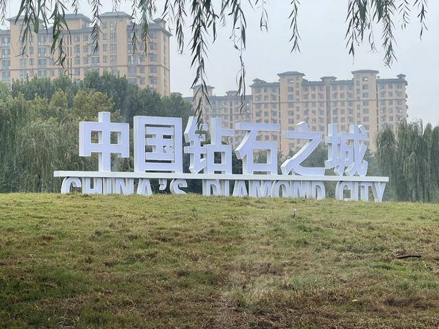 商斥资1450万网友：这是真的眼里有光CQ9电子眼球嵌2克拉钻石！23岁富(图6)