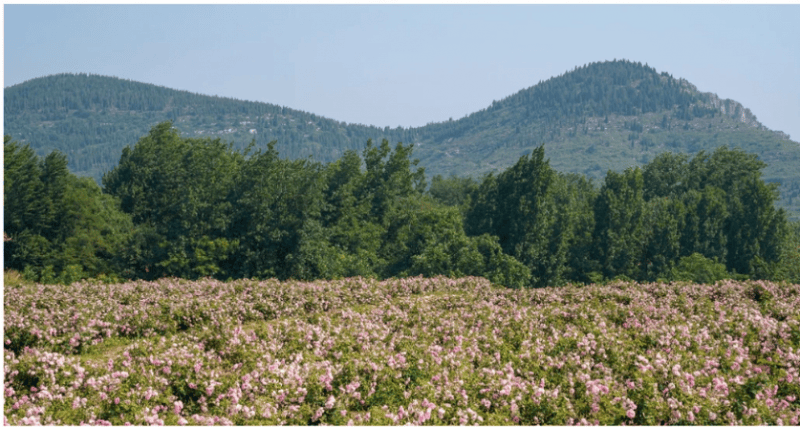 产业链生态以长期主义深耕个人护理赛道CQ